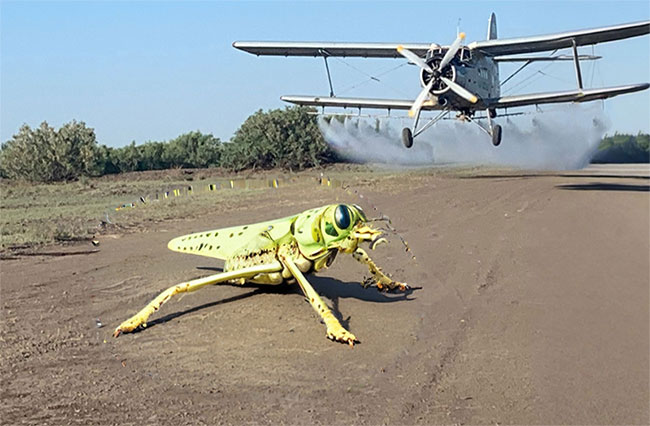 Aviatsionn-himicheskie raboty v Kazahstane AHR